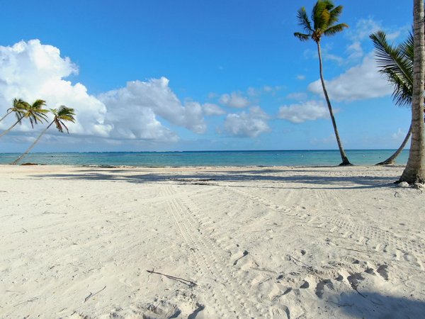 Wat zijn de beste manieren om de natuur te verkennen zonder schade aan te richten?