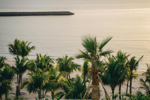 Hoe kies je de perfecte accommodatie voor je reis?